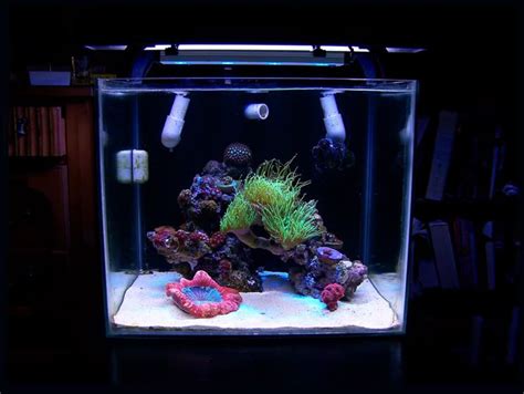 Aquascaping Show Your Skills Page 10 Saltwater Fish Tanks