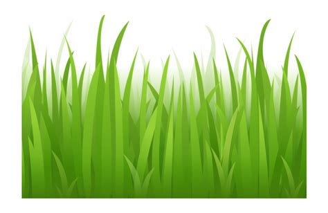 Download High Quality Grass Clipart Jungle Transparent Png Images Art