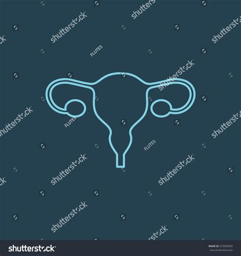 vector line icon of uterus eps 10 373095850 shutterstock