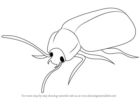 I like to hop around. Learn How to Draw a Beetle (Insects) Step by Step : Drawing Tutorials