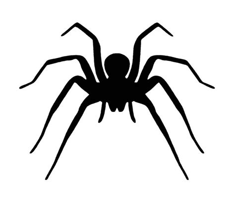 Spider SVG Digital Download Spider Graphic Digital Download Spider