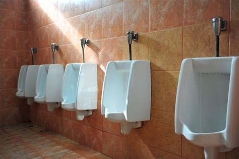 You Can Train Yourself To Pee Less Often — And 8 Other Surprising Facts