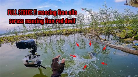 Full Strike Mancing Ikan Nila Serasa Mancing Ikan Red Devil