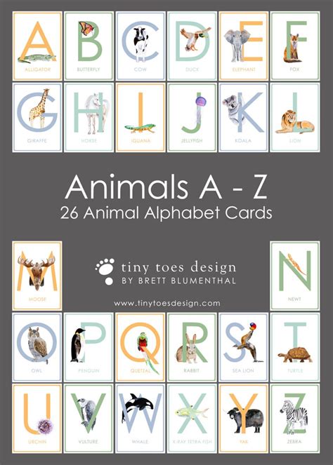 French Alphabet Children's Wall Cards Printable PDF | Etsy