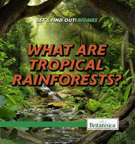 Tropical Rainforest Biome Facts My Xxx Hot Girl