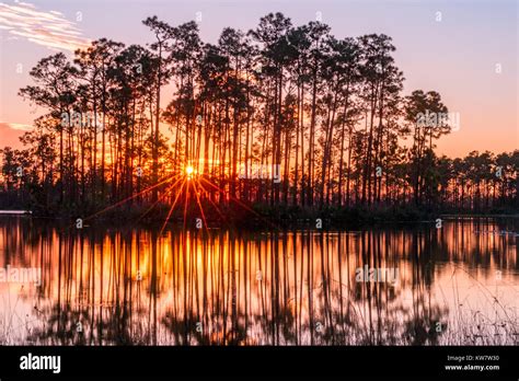 Sunset In The Everglades Of Florida Stock Photo Alamy