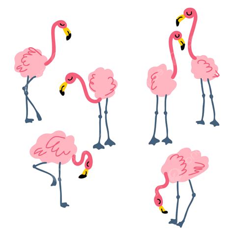 Hand Drawn Collection Vector Png Images Hand Drawn Pink Flamingo