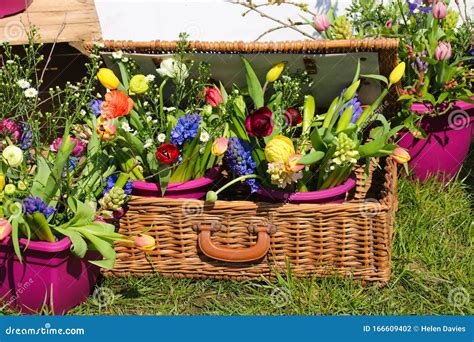 Spring Flowers In A Picnic Basket Stock Photo Image Of Beauty Basket