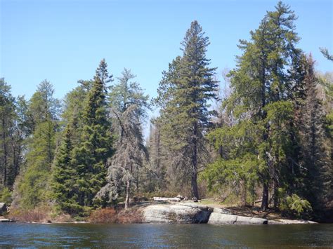 Bwca Clearwater Lake Near Turtle Lake Campsite 1693 Boundary Waters