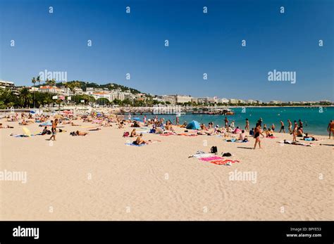 People Sunbathing On The Beach At Cannes France Stock Photo Alamy