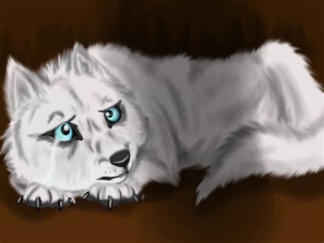 White Wolf With The Blue Eyes Old By Taunii On Deviantart