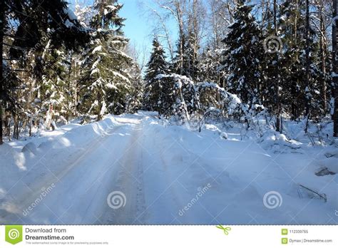 Beautiful Landscape With Suburban Road In Snow Covered