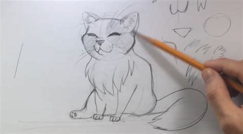 Como Desenhar Um Gato Passo A Passo Tutorial Completo