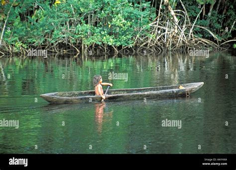 Los Niños Indígenas En Una Canoa En El Río Orinoco Amazonas Venezuela
