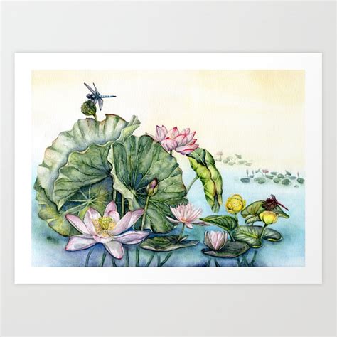Japanese Water Lilies And Lotus Flowers Art Print By