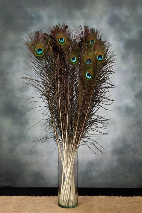 Peacock Feathers 30 35in Pack Of 24 Feather Decor Bedroom Peacock