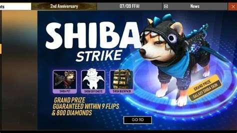 Now, your free fire name is changed successfully. Free Fire Pets And How To Create An Impressive Free Fire ...