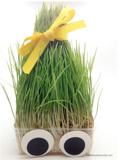 5 Minute Diy Silly Grass Head Craft Crafts To Do Diy For Kids Crafts