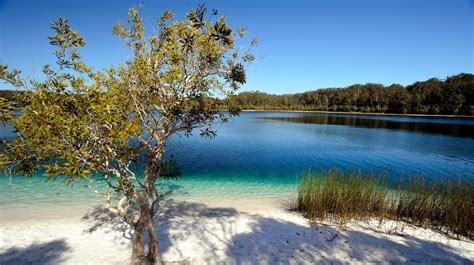 Fraser Island Australias Unesco World Heritage Paradise