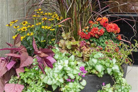 Fall Planter Ideas That Will Take You Into Winter Dan330