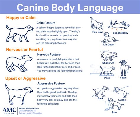 Printable Dog Body Language Chart Web While Dogs Cannot Speak They Do