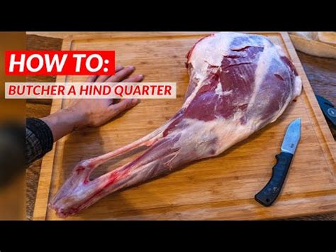 How To Butcher A DEER Hind Quarter YouTube