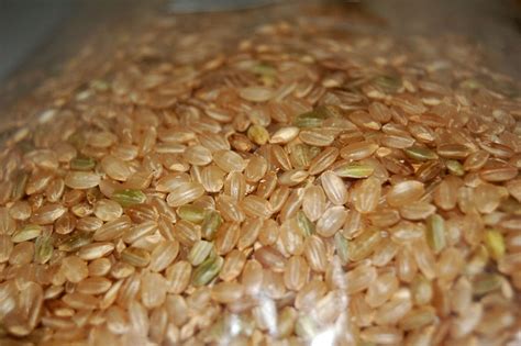 Brown Rice Gbr Or Gaba Rice And Its Health Benefits Hubpages