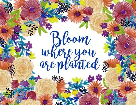 We did not find results for: Sunday for Monday: Bloom Where You Are Planted | Mash Up Maria