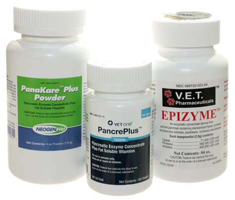 Prognosis for dogs with pancreatitis. A Word About Pancreatic Enzyme Supplements - VetRxDirect ...