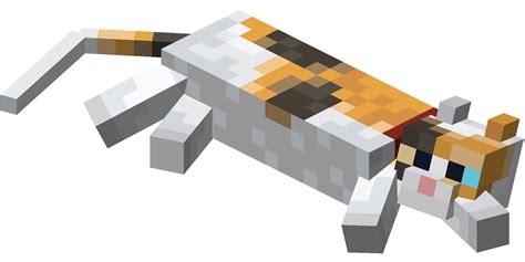 Filelying Down Calico Cat With Red Collarpng Minecraft Wiki，最详细的官方我