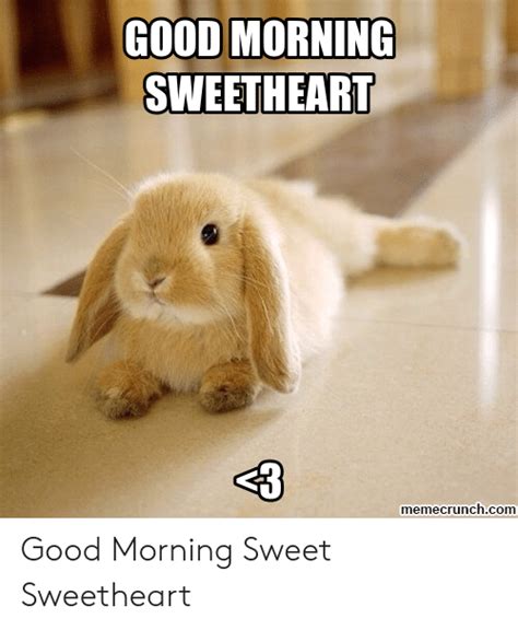 Good Morning Sweetheart Memecrunchcom Good Morning Sweet Sweetheart