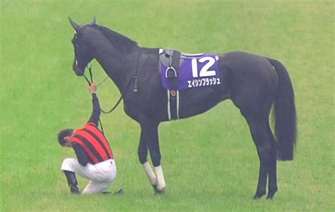 Mar 27, 2007 · 競走馬エイシンフラッシュの名鑑ページです。馬主や調教師、血統情報などの基本データから、条件別・競馬場別・距離別のレース戦績や次走情報など、スポーツナビ競馬では中央競馬の情報が満載！ 天皇賞（秋）を制したイタリア人騎手ミルコ・デムーロが ...