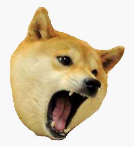Le Angry Cheems In Full Hd Rdogelore Ironic Doge Meme