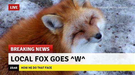 Local Fox Goes W Foxes Know Your Meme
