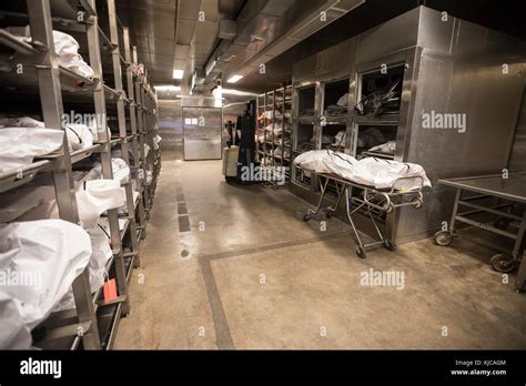 Morgue Hi Res Stock Photography And Images Alamy
