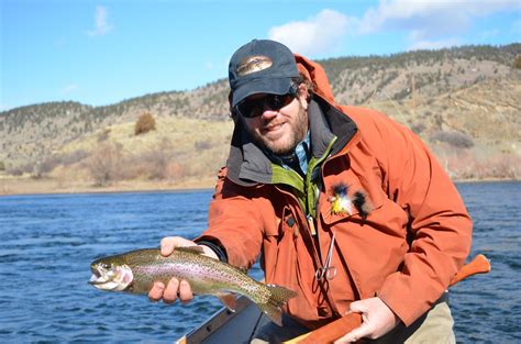 Montana Fly Fishing Report By Scott Anderson Of Montana Fishing Company