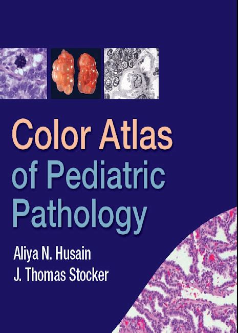 Color Atlas Of Pediatric Pathology Pdfgripcom