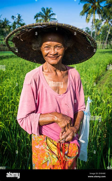An Older Indonesian Woman Works In The Rice Fields Of Senaru Mt Rinjani Lombok Indonesia