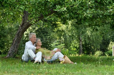 Senior Couple Sitting On The Grass In The Park Stock Image Image Of Senior Pose 224815567