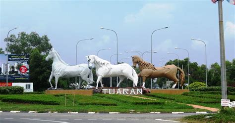 Kota kinabalu wetland centre dahulunya dikenali sebagai kota kinabalu city bird sanctuary. Tempat Menarik Di Sabah Sarawak Dan Semenanjung Malaysia ...