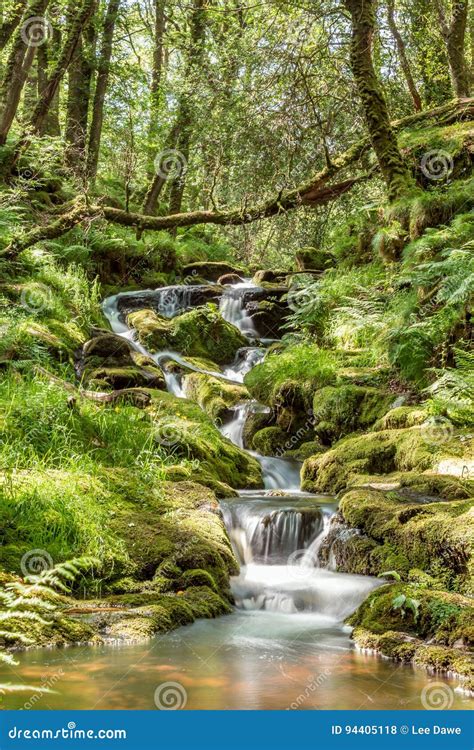 Dartmoors Secret Stream Stock Photo Image Of National 94405118