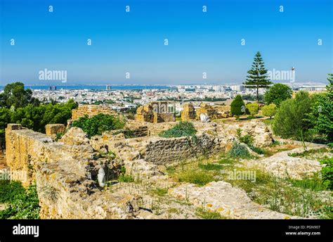 The Byrsa Hill Famous For Ruins Of Ancient Carthage Boasts Perfect