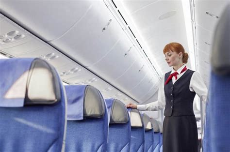 Flight Secrets Cabin Crew Member Reveals What This Word Really Means