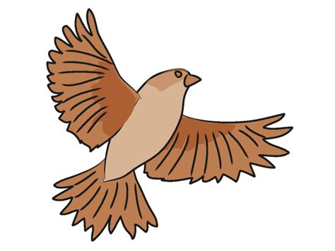 Sparrow Clipart 20 Free Cliparts Download Images On Clipground 2023