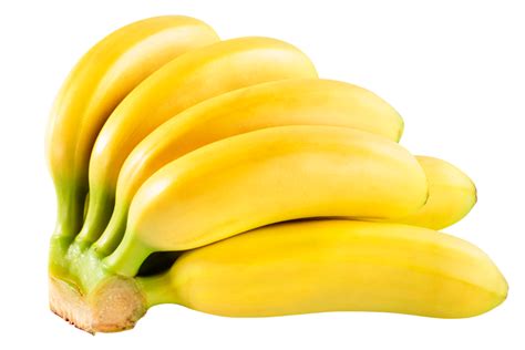Bananito Exportube