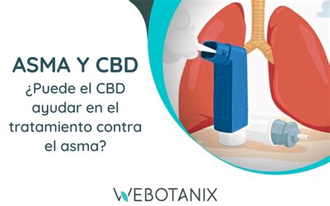 Cbd Y Asma C Mo Puede Ayudar Webotanix