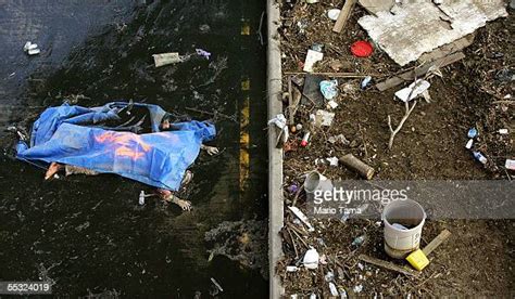 Hurricane Katrina Bodies Bildbanksfoton Och Bilder Getty Images