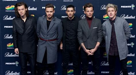 Liam Payne Says One Direction Might Have A Christmas Reunion The