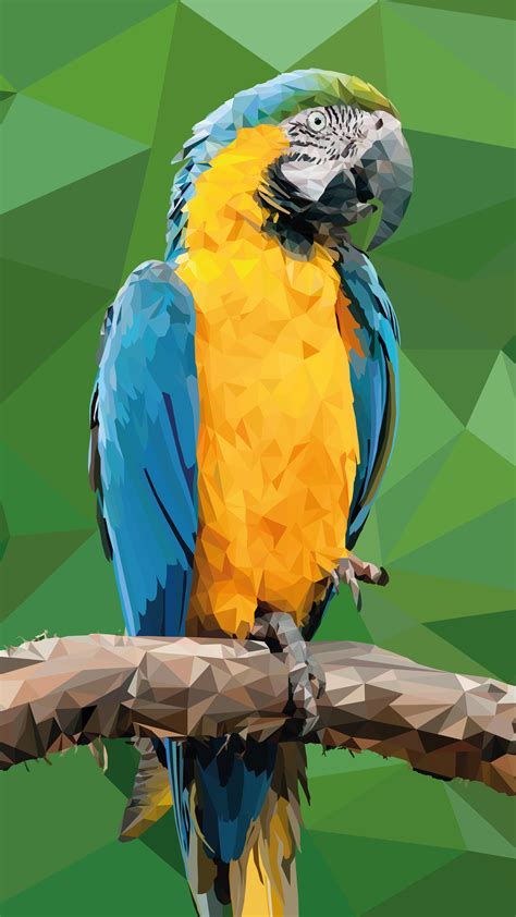 1080x1920 Macaw Parrot Birds Hd Artist Artwork Digital Art