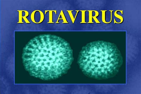Because rotavirus typically affects babies and young children, that loss of fluid is more significant this is different from diarrhea from chronic conditions like inflammatory bowel disease or that's. PPT - Etymolog ie : Grieks: diarrhoia (dia + rhein) Laat ...